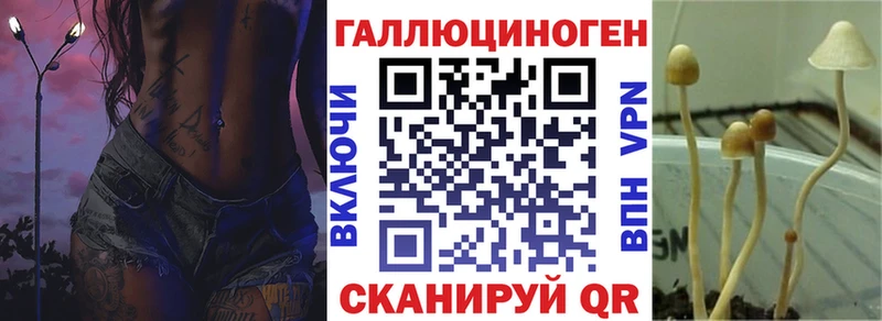 Псилоцибиновые грибы MAGIC MUSHROOMS  сайты даркнета наркотические препараты  Горняк  hydra ТОР 